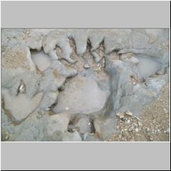 100_0659 (2009-27-07)cr.jpg